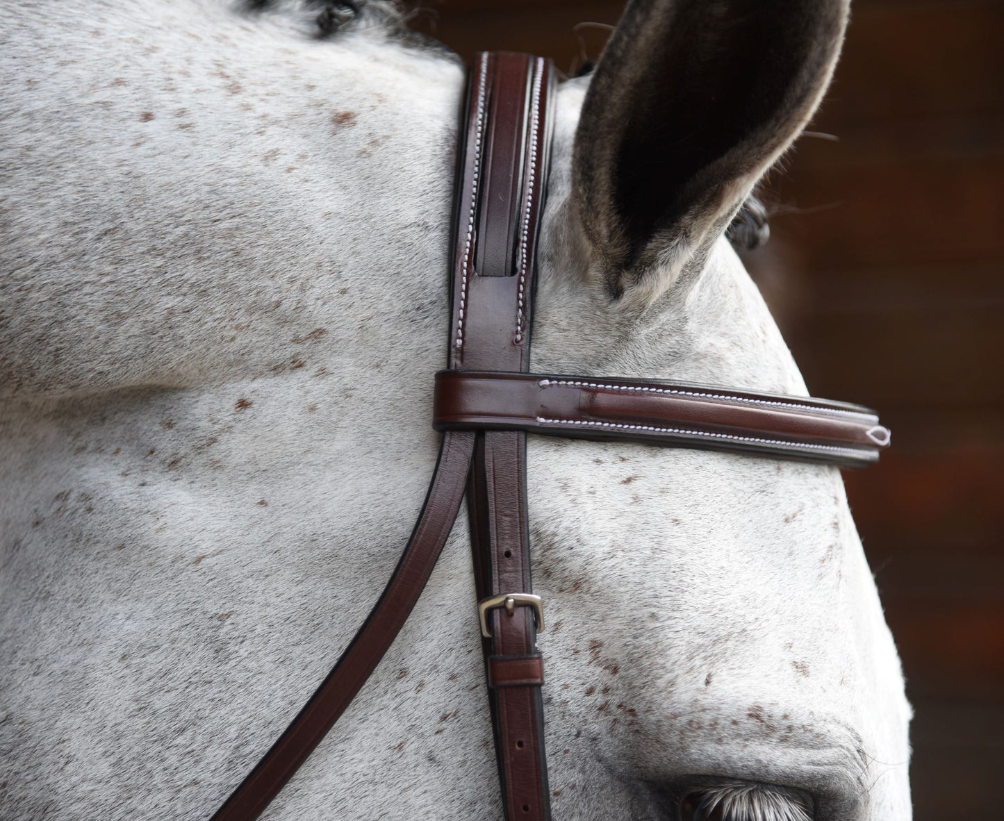 KL Select Middleburg Bridle