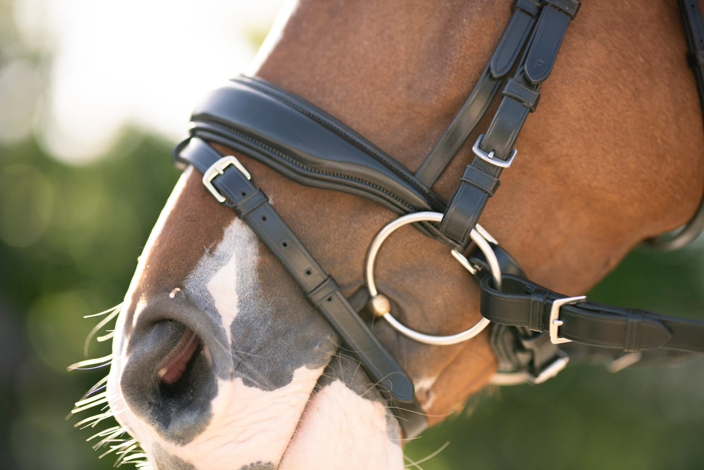 KL Select Red Barn Topline Bridle