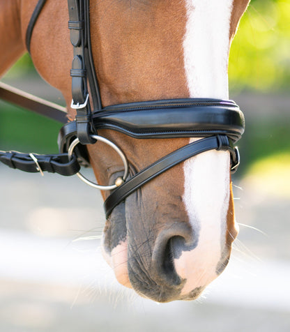 KL Select Red Barn Topline Bridle