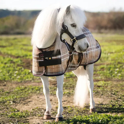 Mini Protective Fly Sheet with Belly Band - 73% UV Protection - Riders Choice Supply Co