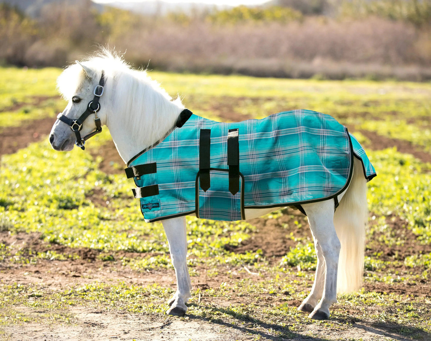 Mini Protective Fly Sheet with Belly Band - 73% UV Protection - Riders Choice Supply Co