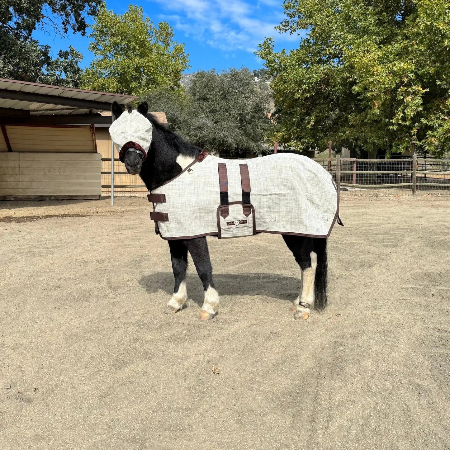 Mini Protective Fly Sheet with Belly Band - 73% UV Protection - Riders Choice Supply Co