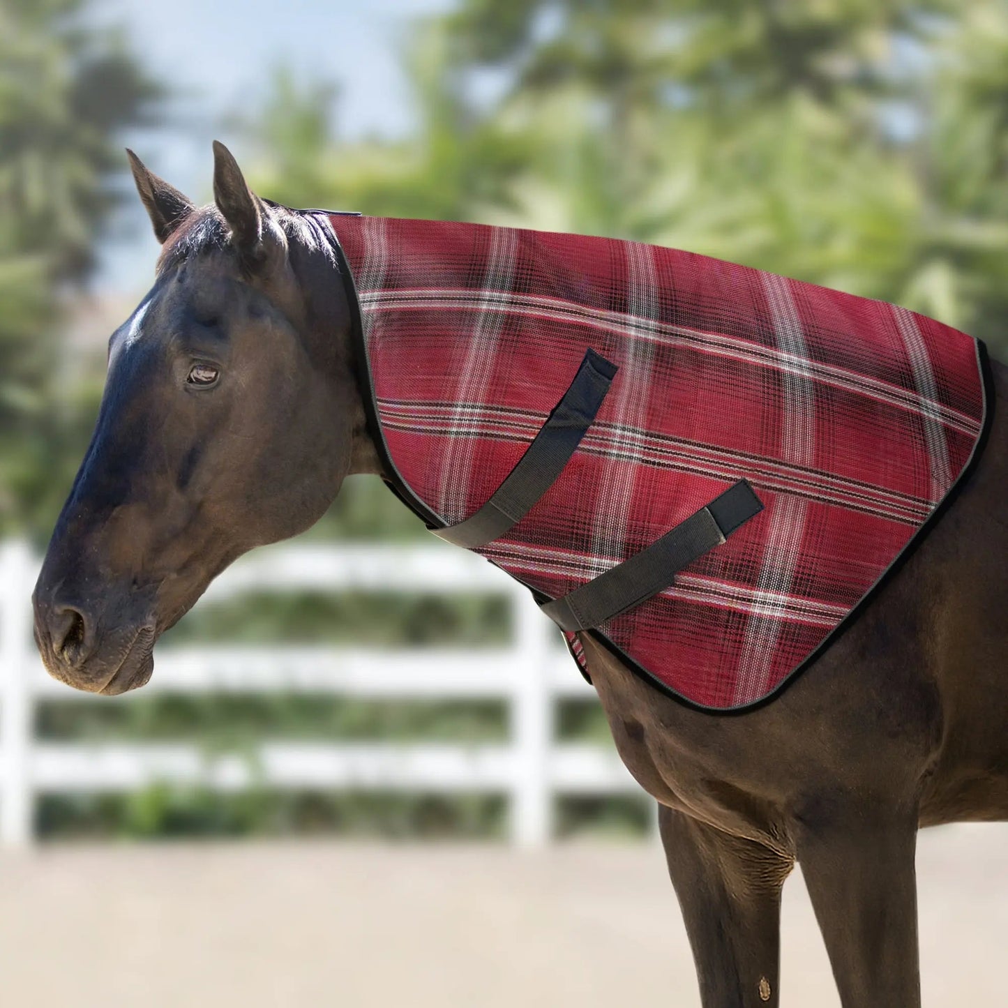 Horse Protective Neck Cover - Pairs with Fly Sheet - 73% UV Blocking - Riders Choice Supply Co