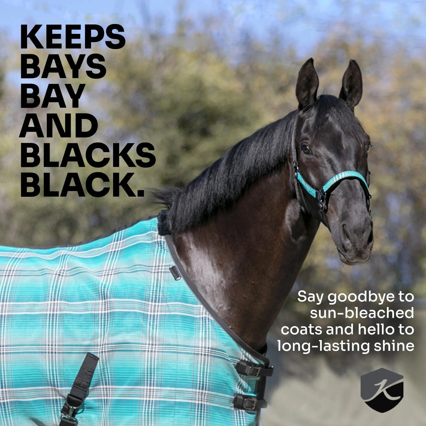 Yellowstone Equine Protective Fly Sheet - 73% UV Blocking + Pest Protection - Riders Choice Supply Co