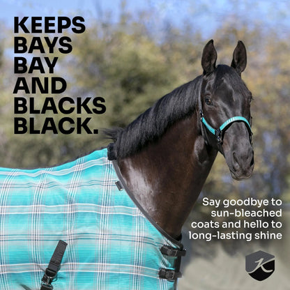 Mini Protective Fly Sheet with Belly Band - 73% UV Protection - Riders Choice Supply Co