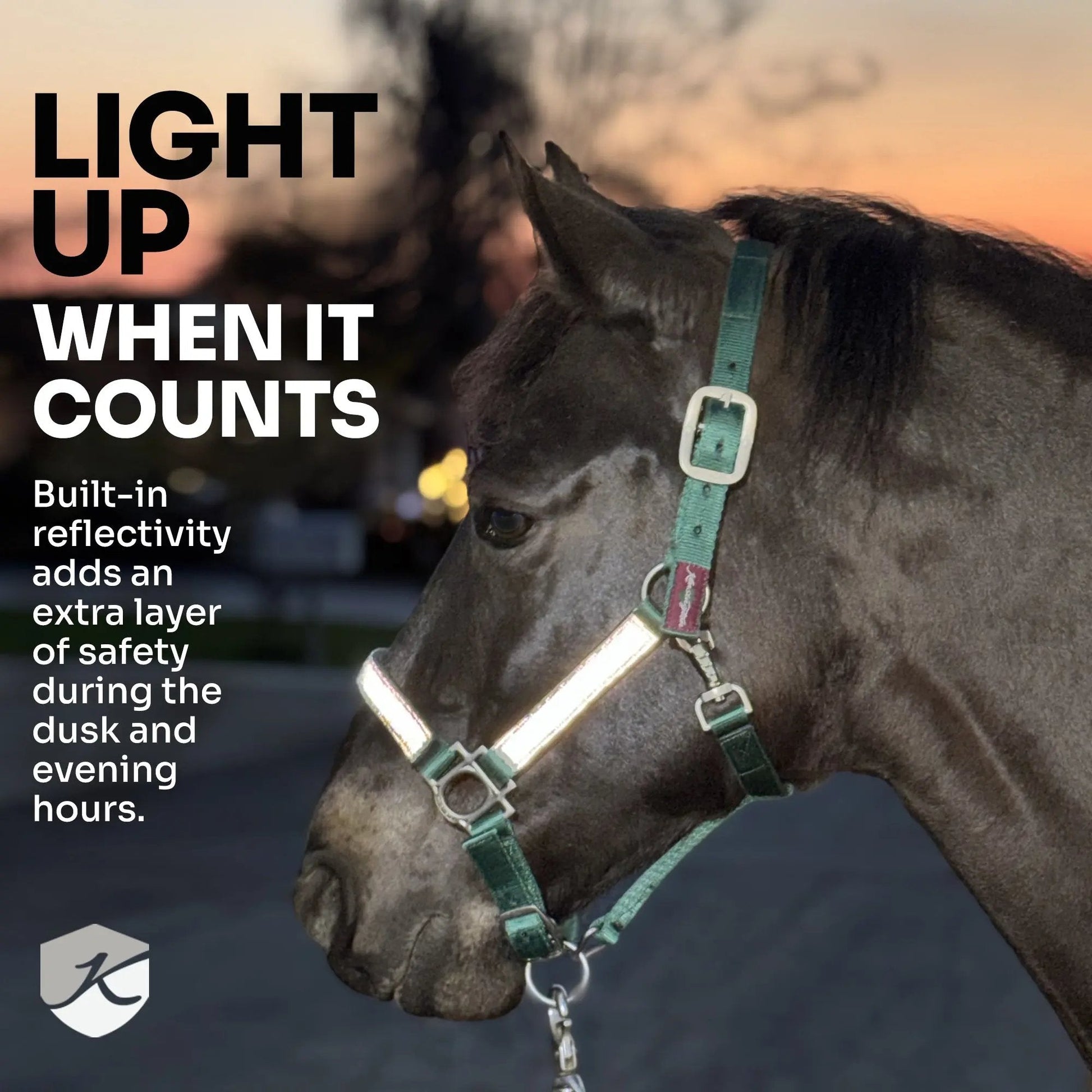 Reflective Breakaway Nylon Halter with Textliene - Riders Choice Supply Co