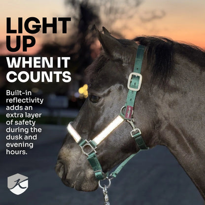 Reflective Breakaway Nylon Halter with Textliene - Riders Choice Supply Co