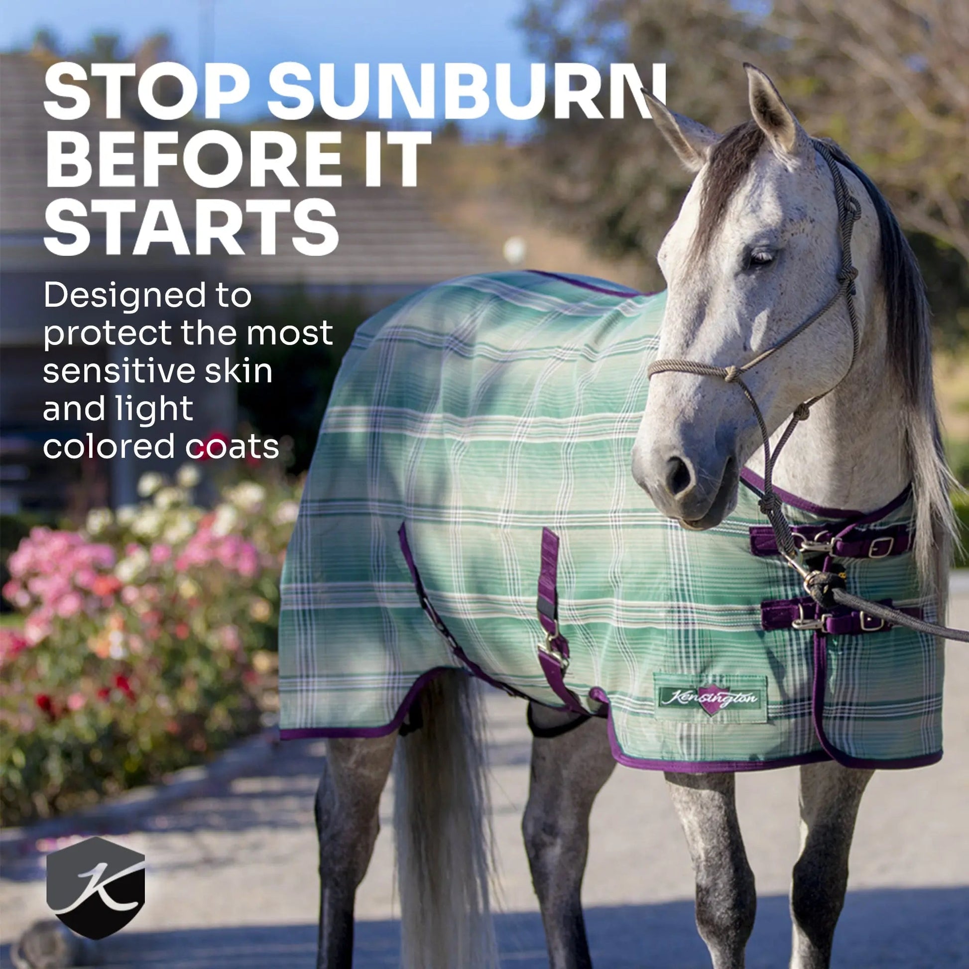 Draft Horse Protective Fly Sheet  - 73% UV Protection - Riders Choice Supply Co