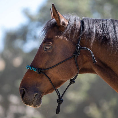 Clinician Training Rope Halter with Braided Nose - Riders Choice Supply Co