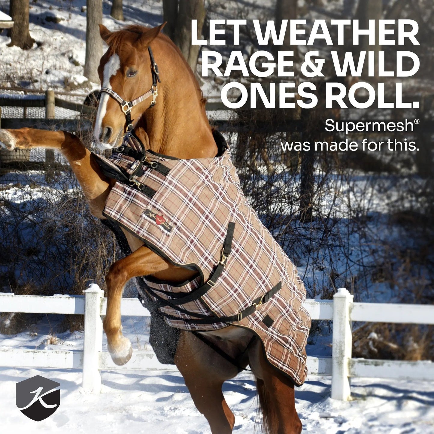 SuperMesh® Winter Turnout Blanket & Blanket Storage Bag - Riders Choice Supply Co