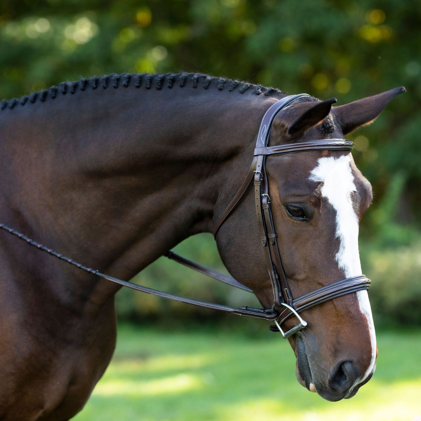 KL Select Black Oak Laurel Bridle