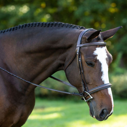 KL Select Black Oak Laurel Bridle