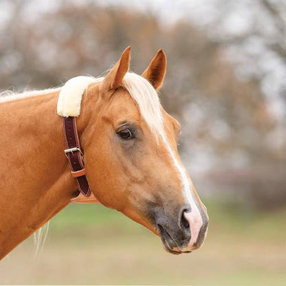 Professional's Choice The Dare® Cribbing Control Collar