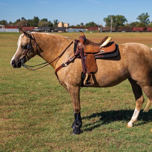Professional's Choice 2XCool Sports Medicine Boot - Pony Size