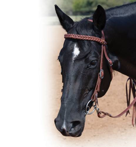 Ranch 5/8" Bleeding Heart Browband Headstall
