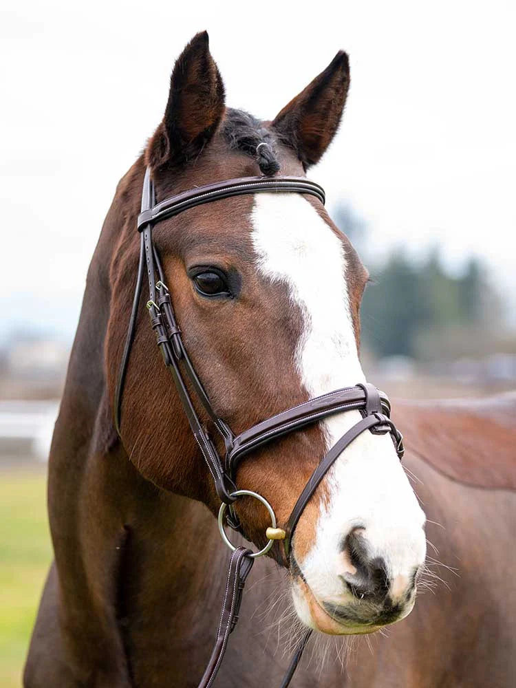Marco Simone Italian Leather Monocrown Bridle - Riders Choice Supply Co