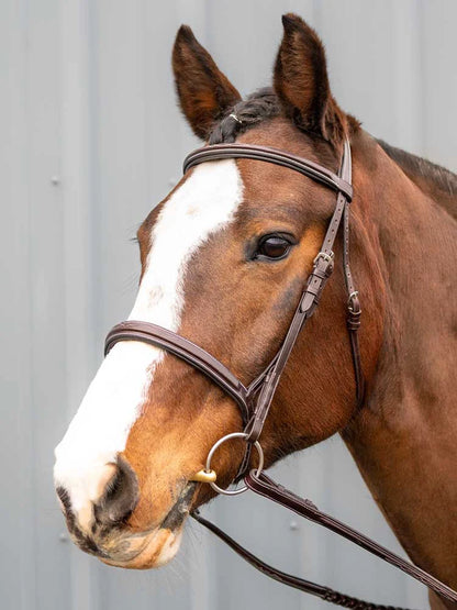 Marco Simone Italian Leather Monocrown Bridle - Riders Choice Supply Co