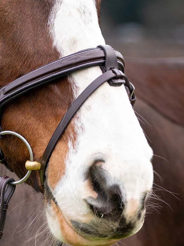 Marco Simone Italian Leather Monocrown Bridle - Riders Choice Supply Co