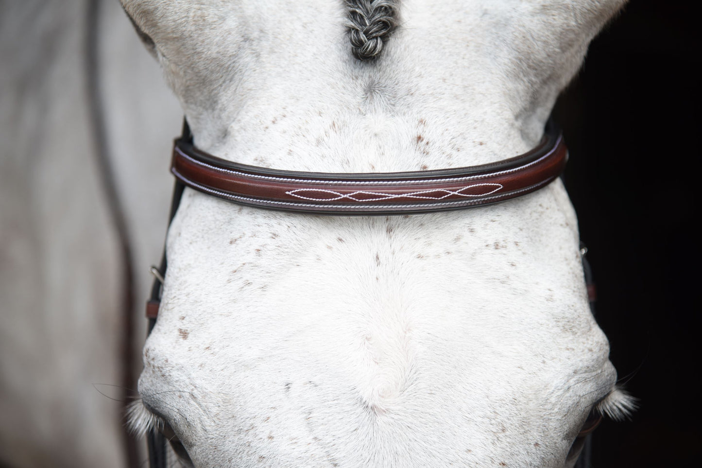 KL Select Middleburg Bridle