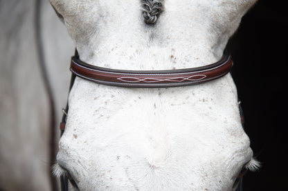KL Select Middleburg Bridle