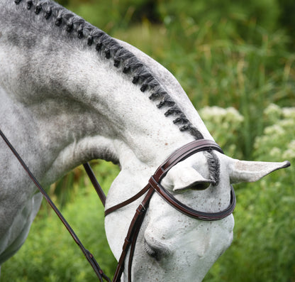 KL Select Middleburg Bridle