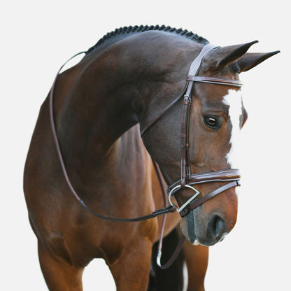 KL Select Millbrook Bridle