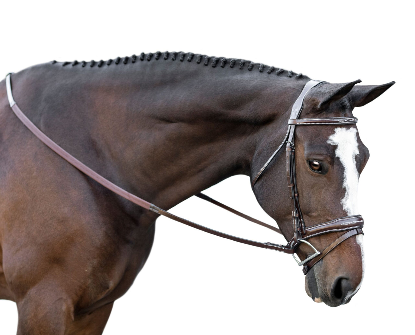 KL Select Millbrook Bridle