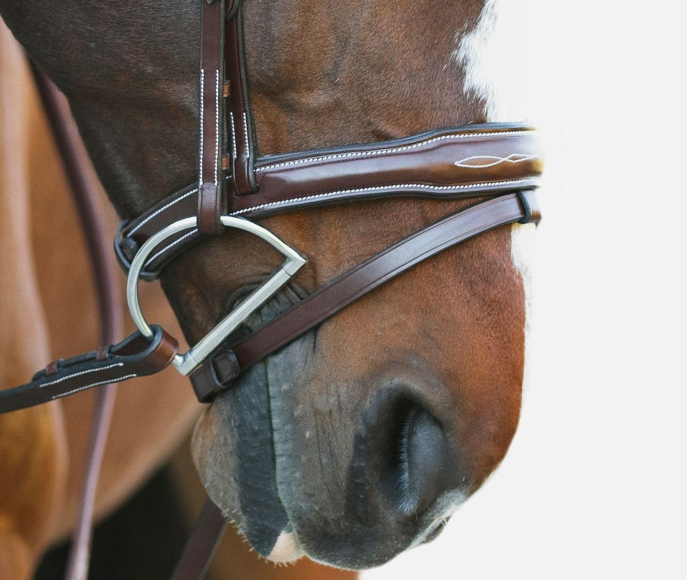 KL Select Millbrook Bridle