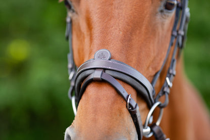 KL Select Black Oak Dogwood Bridle