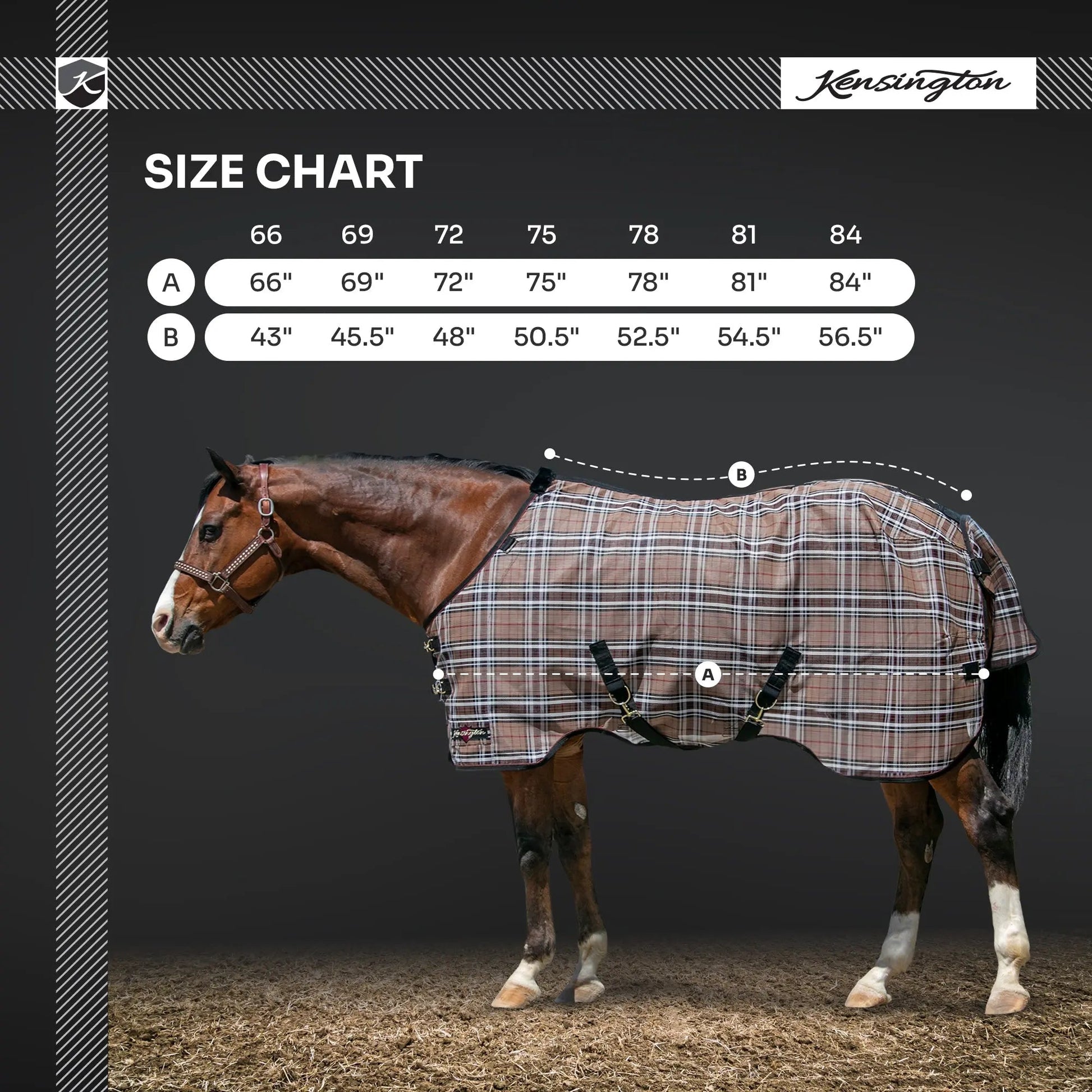 Yellowstone Equine Protective Fly Sheet - 73% UV Blocking + Pest Protection - Riders Choice Supply Co