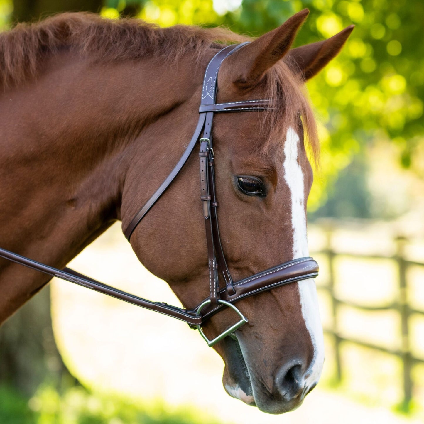 KL Select Red Barn Ocala Bridle