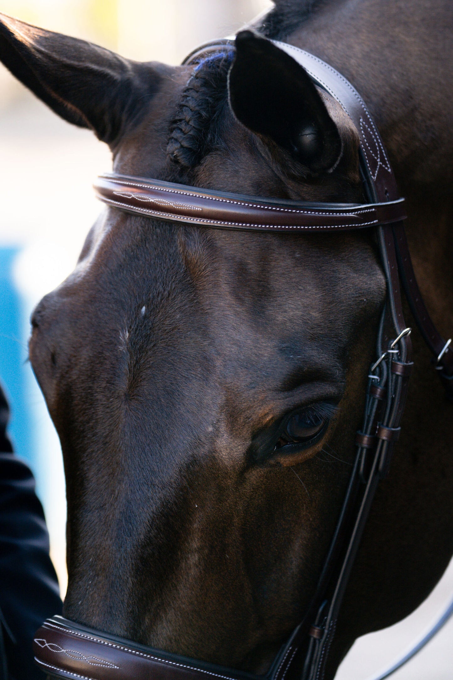 KL Select Red Barn Ocala Bridle