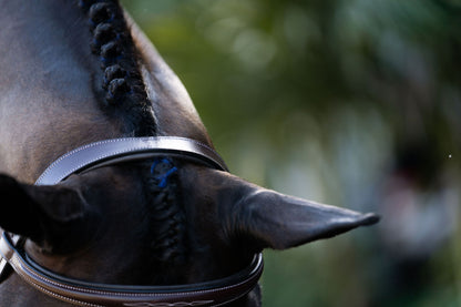 KL Select Red Barn Ocala Bridle