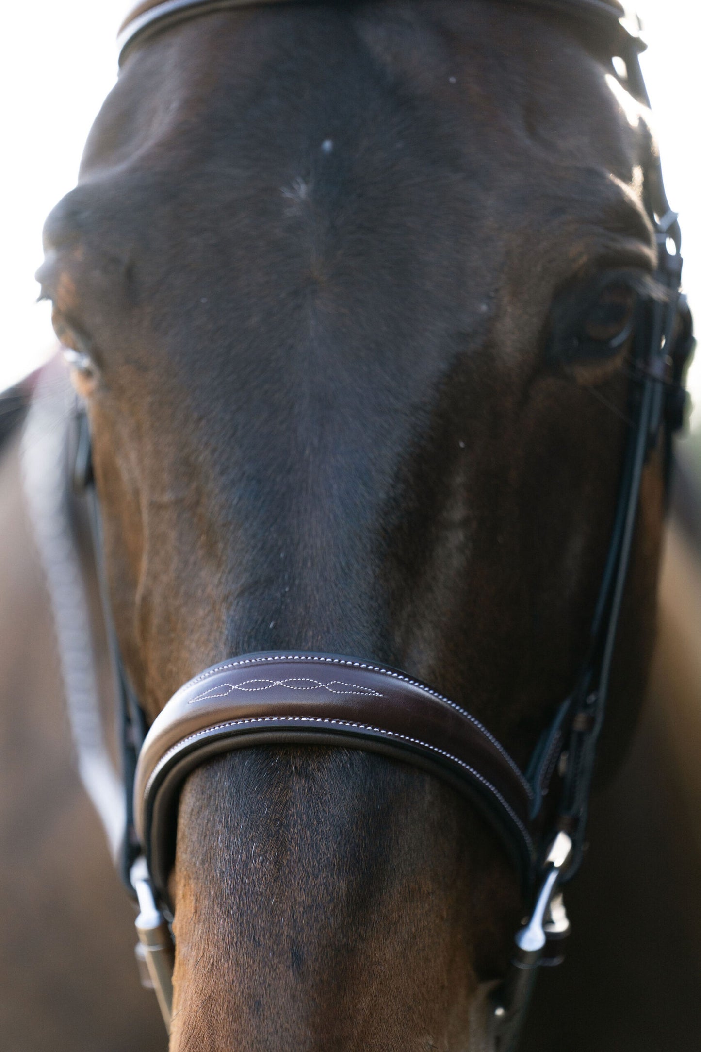 KL Select Red Barn Ocala Bridle