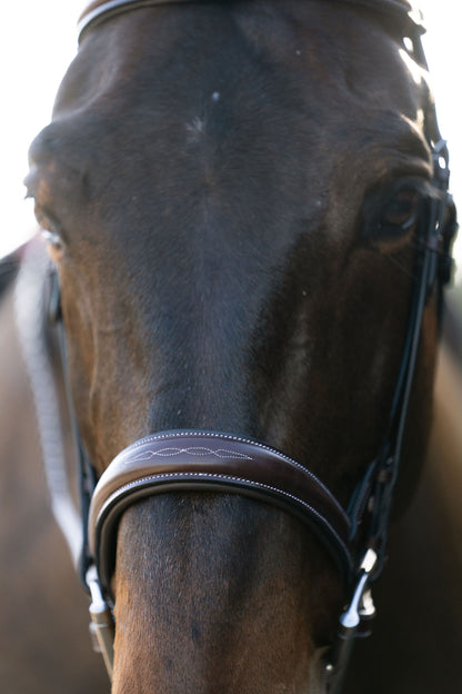 KL Select Red Barn Ocala Bridle