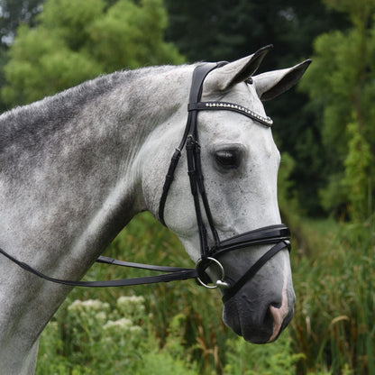 KL Select Red Barn Pace Bridle