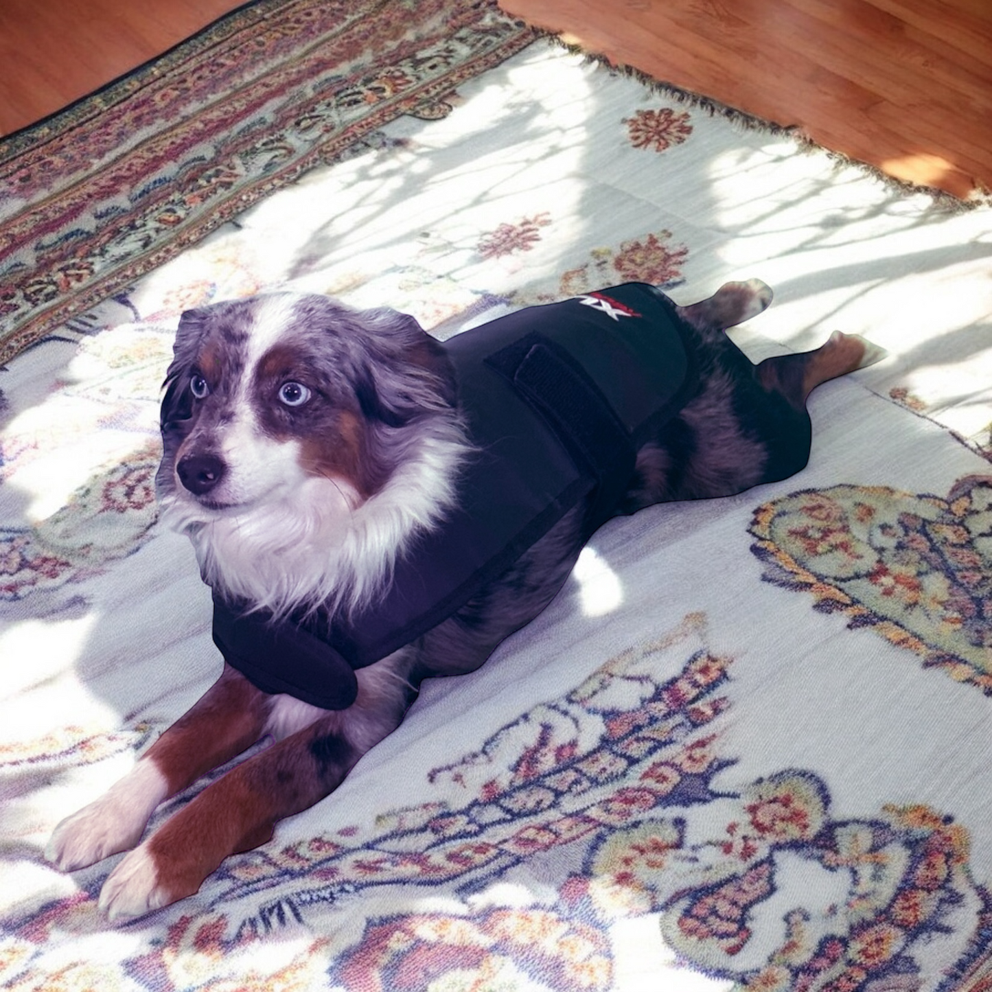 Redline Dog Wrap- Small - Riders Choice Supply Co