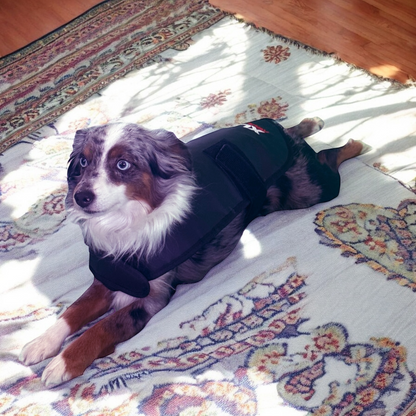Redline Dog Wrap- Small - Riders Choice Supply Co