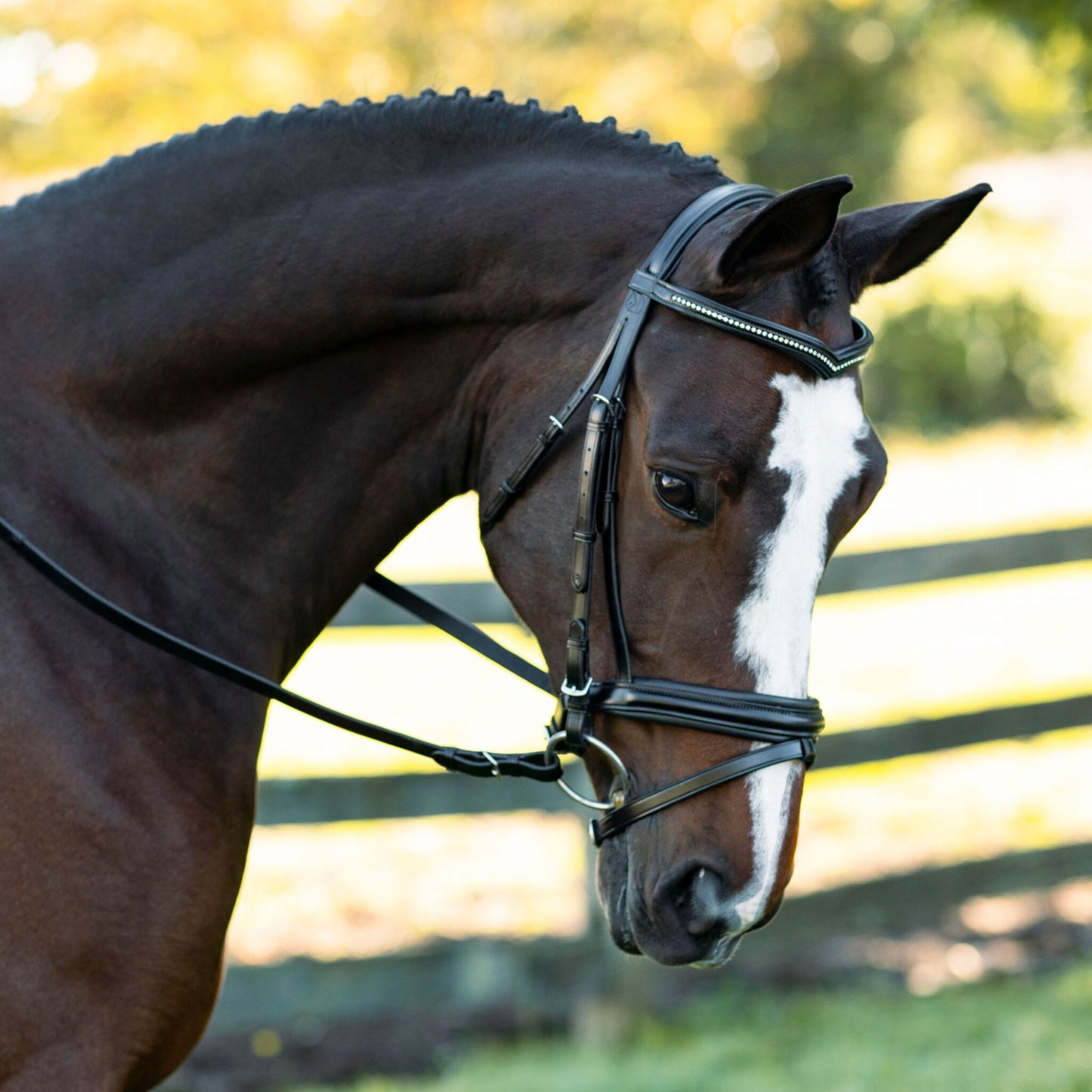 KL Select Pirouette Bridle
