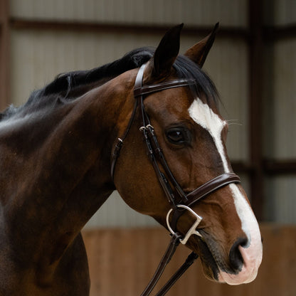 KL Select Black Oak Poppy Bridle