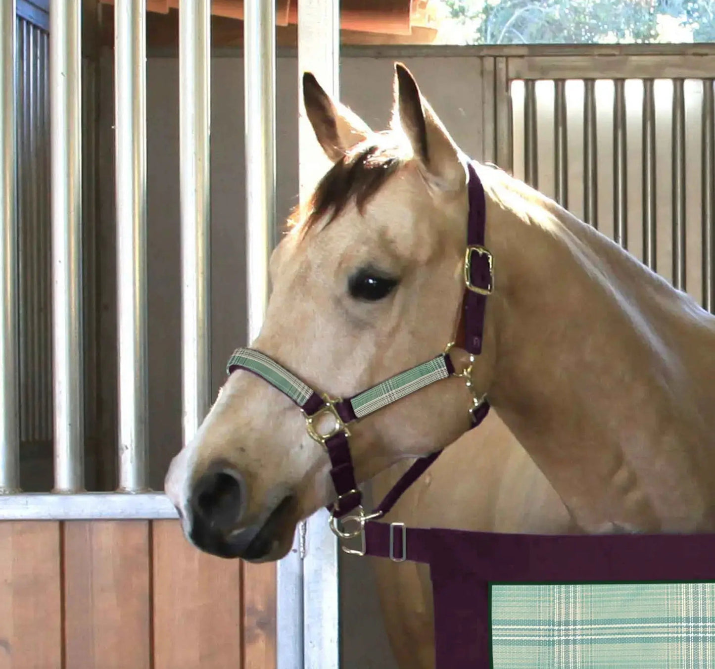 Reflective Nylon Halter with Textliene - Riders Choice Supply Co