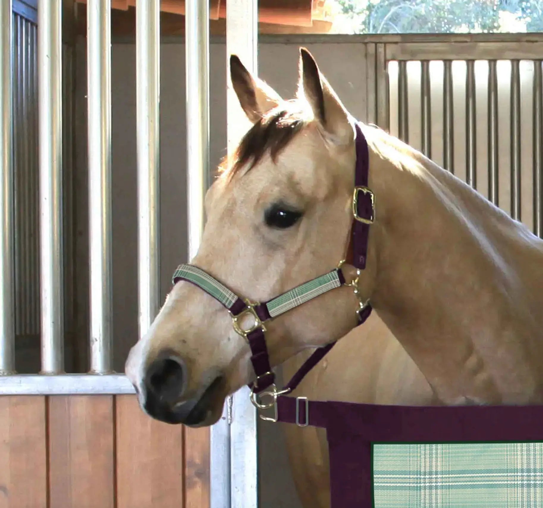 Reflective Nylon Halter with Textliene - Riders Choice Supply Co