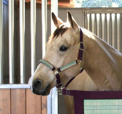 Reflective Nylon Halter with Textliene - Riders Choice Supply Co