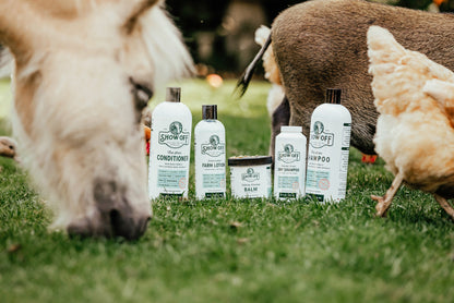 Show Off That Shine Conditioner - Riders Choice Supply Co