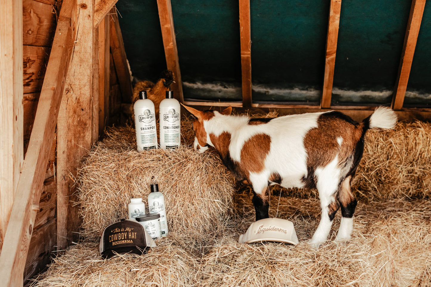Show Off That Shine Conditioner - Riders Choice Supply Co