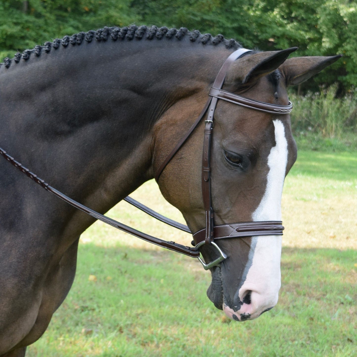 KL Select Red Barn Sonoma Bridle
