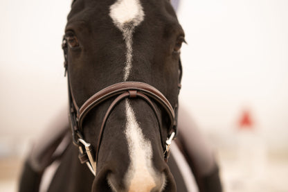 KL Select Red Barn Sovereign Bridle