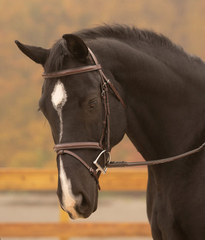 KL Select Red Barn Sovereign Bridle