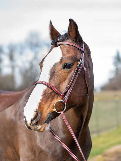 Spanish Bay Round Raised Hunter Bridle