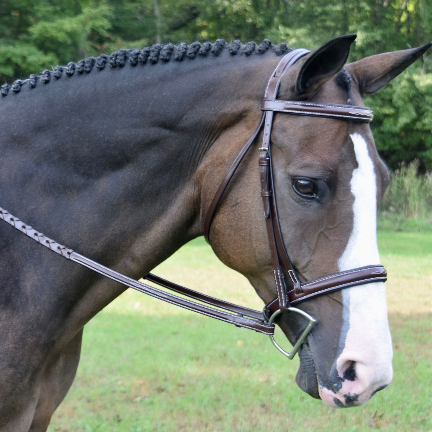 KL Select Red Barn Spirit Bridle